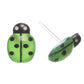 Glassy Ladybug Studs