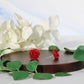 Matte Rose Studs Hypoallergenic Earrings for Sensitive Ears with Plastic Posts