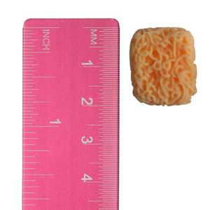 Exaggerated Ramen Earrings (Studs) - size