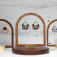Teacup Cat Dangles Hypoallergenic Earrings for Sensitive Ears with Plastic Posts