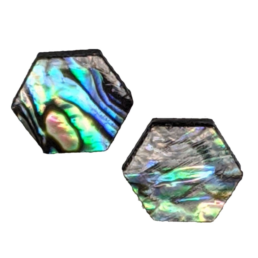 Abalone Earrings (Studs) - 10mm hexagon
