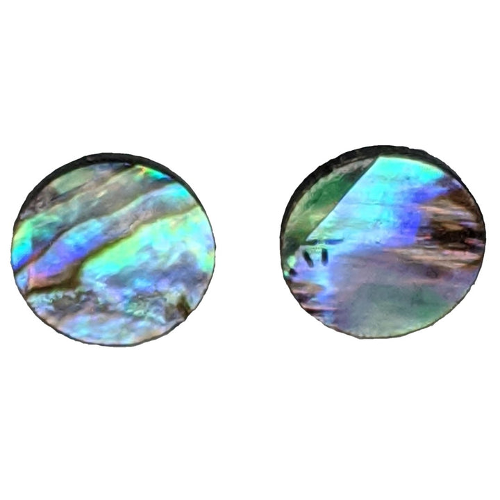 Abalone Earrings (Studs) - 12mm circle