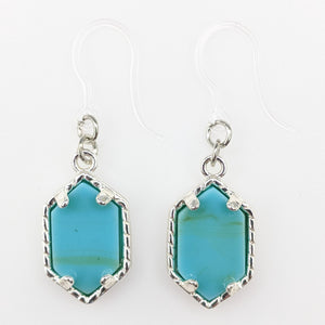 Faux Stone Drop Earrings (Dangles) - turquoise/silver